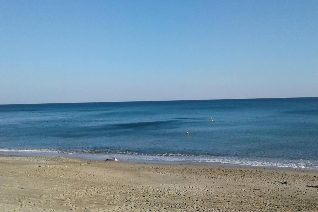 Larte Al Mare Vicino Spiaggia Con Ac E Wifi Apartment ซาโวนา ภายนอก รูปภาพ